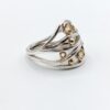 Anello Corteccia ANELLI